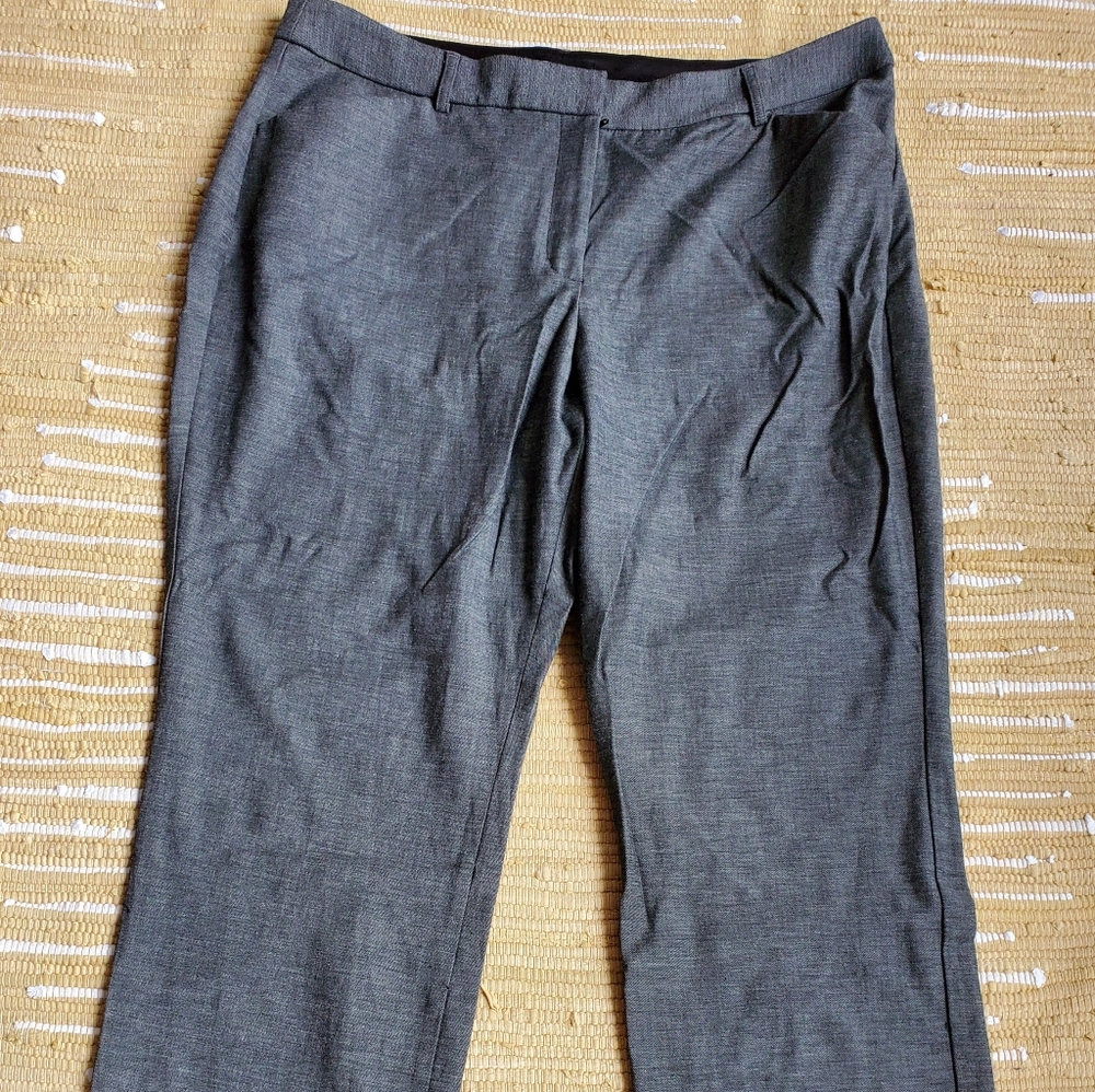 Express publicist barely boot pants